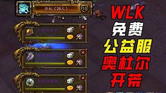 dnfsf发布网站：公益服sf(公益服手